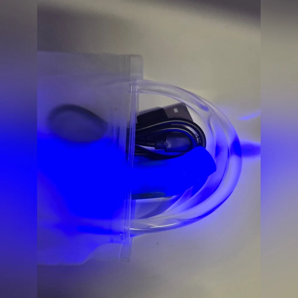 Blue LED Light-Up Dog‎ Collar | Rechargeable & Waterproof | Night Safety